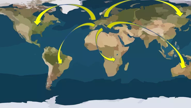 internationalisering kaart wereld 
