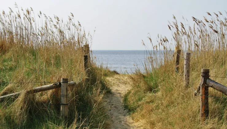 Duinen kust