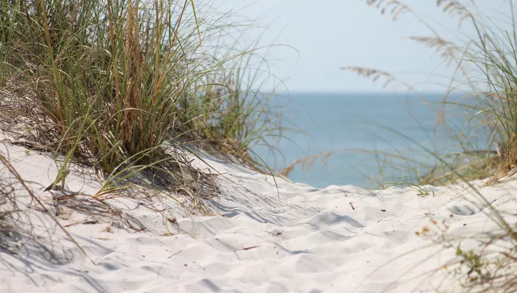 Noordzee strand duinen